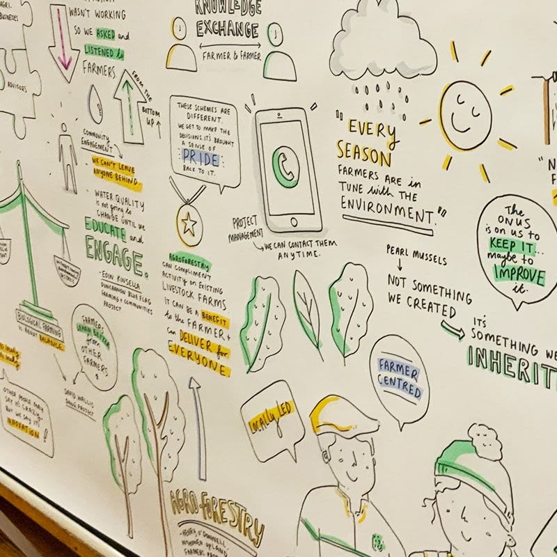 Graphic Recording Ruth Graham_NRN verbal-arts-centre-ruth-graham-illustrator